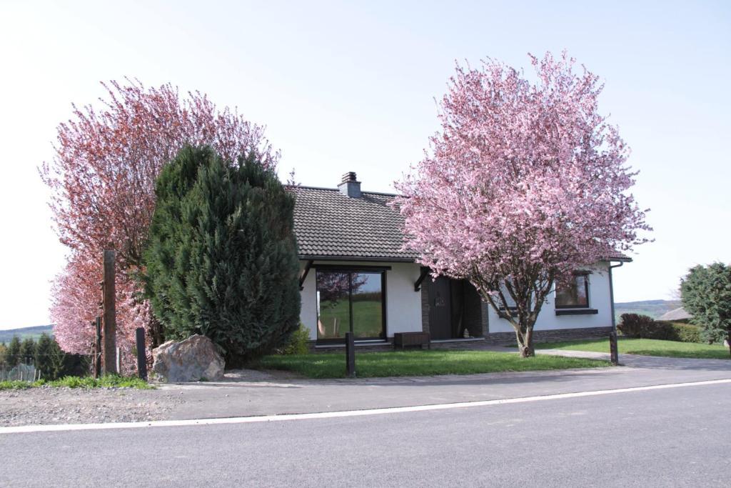 ستافيلوت B&B Sol Magnus المظهر الخارجي الصورة